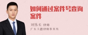 如何通过案件号查询案件