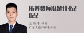 抚养费标准是什么2022