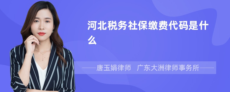 河北税务社保缴费代码是什么