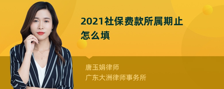 2021社保费款所属期止怎么填