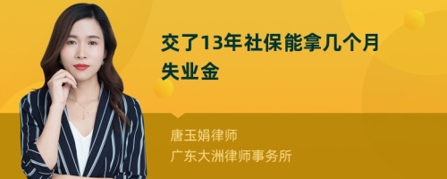 交了13年社保能拿几个月失业金