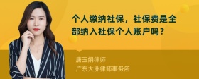 个人缴纳社保，社保费是全部纳入社保个人账户吗？