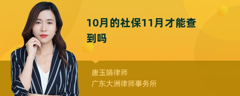 10月的社保11月才能查到吗