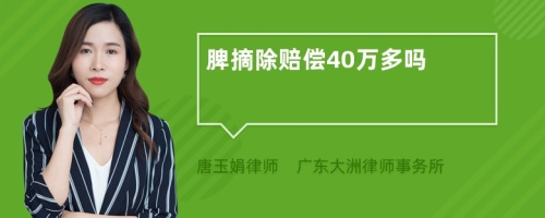 脾摘除赔偿40万多吗