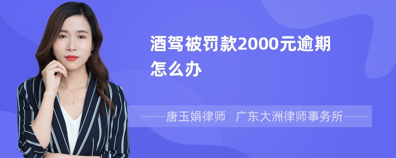 酒驾被罚款2000元逾期怎么办