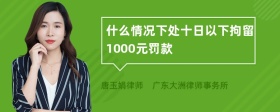 什么情况下处十日以下拘留1000元罚款