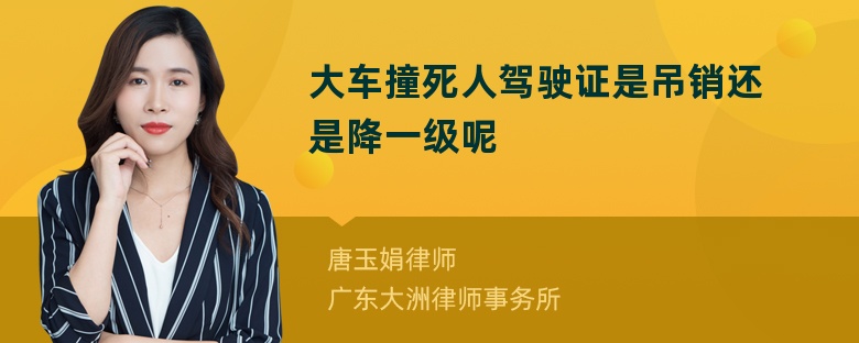 大车撞死人驾驶证是吊销还是降一级呢