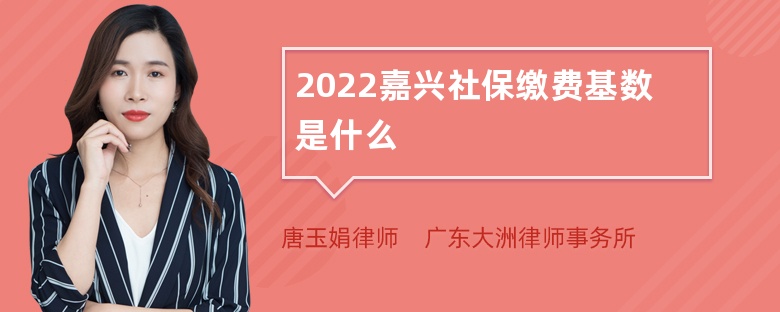 2022嘉兴社保缴费基数是什么