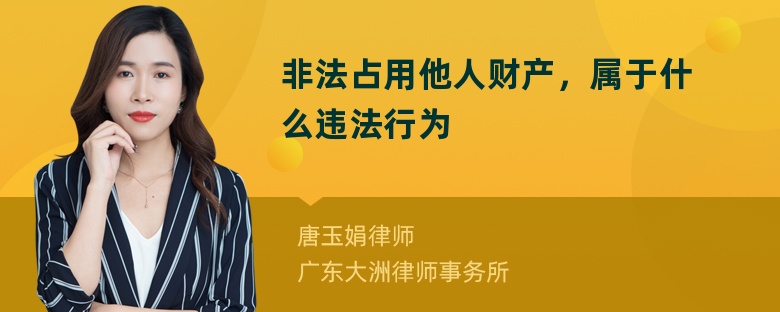 非法占用他人财产，属于什么违法行为