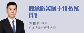 故意伤害属于什么案件?