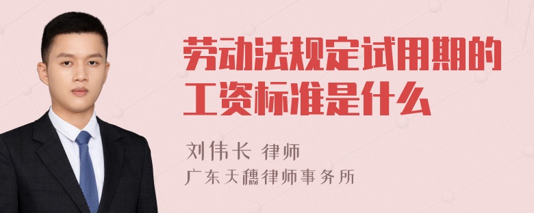 劳动法规定试用期的工资标准是什么