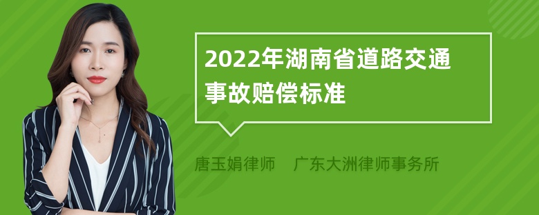 2022年湖南省道路交通事故赔偿标准