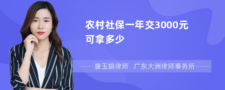 农村社保一年交3000元可拿多少