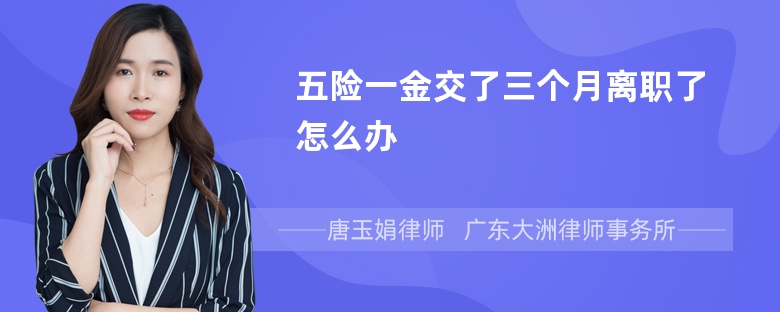 五险一金交了三个月离职了怎么办