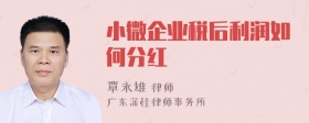 小微企业税后利润如何分红