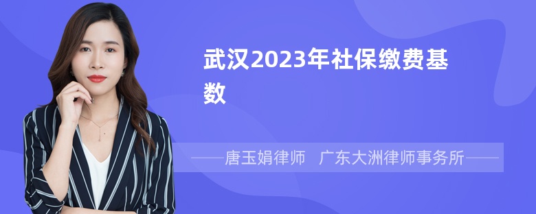 武汉2023年社保缴费基数