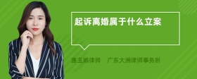 起诉离婚属于什么立案
