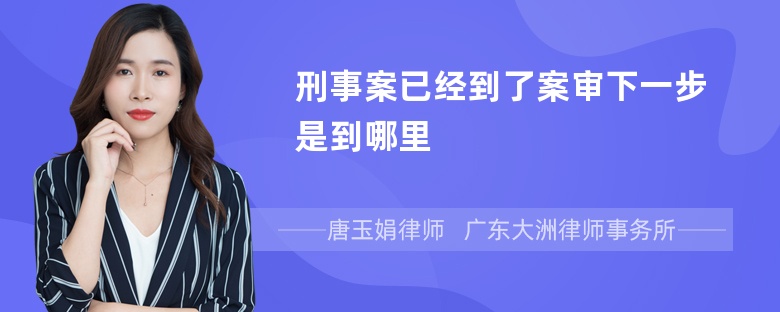 刑事案已经到了案审下一步是到哪里