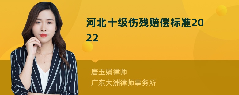 河北十级伤残赔偿标准2022