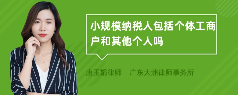 小规模纳税人包括个体工商户和其他个人吗