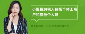 小规模纳税人包括个体工商户和其他个人吗