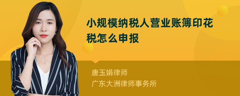 小规模纳税人营业账簿印花税怎么申报