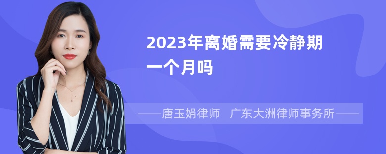 2023年离婚需要冷静期一个月吗