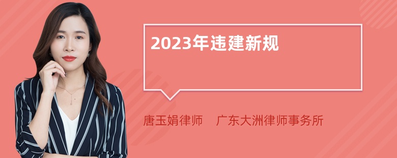 2023年违建新规