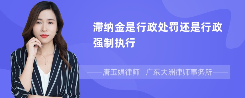 滞纳金是行政处罚还是行政强制执行