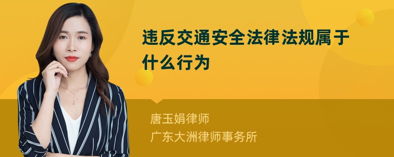 违反交通安全法律法规属于什么行为