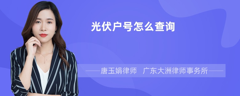 光伏户号怎么查询