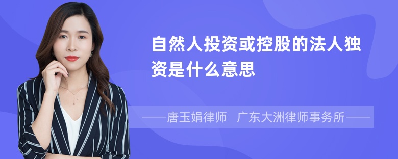 自然人投资或控股的法人独资是什么意思