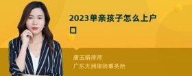 2023单亲孩子怎么上户口