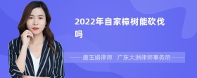 2022年自家樟树能砍伐吗