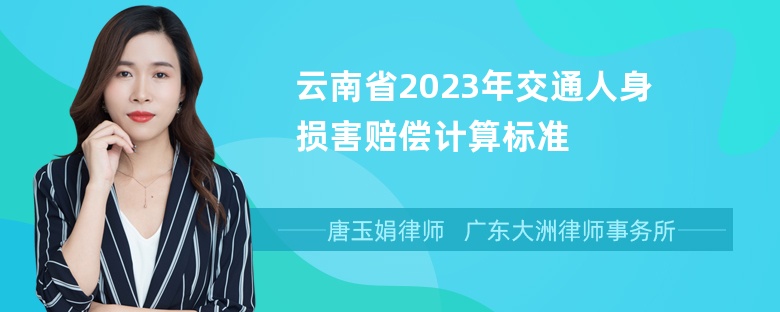 云南省2023年交通人身损害赔偿计算标准