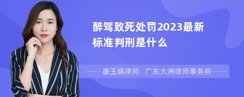 醉驾致死处罚2023最新标准判刑是什么