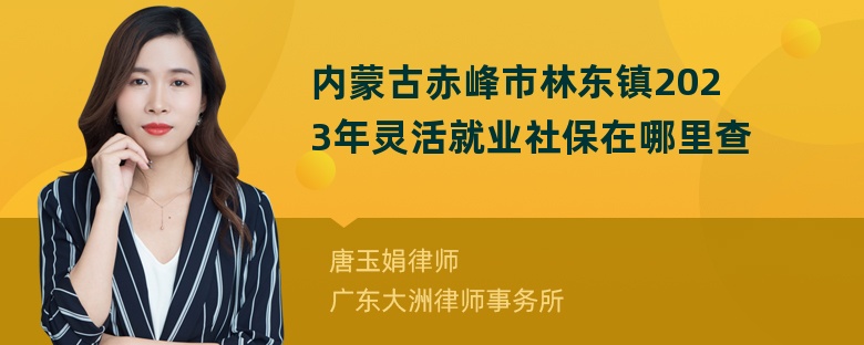 内蒙古赤峰市林东镇2023年灵活就业社保在哪里查