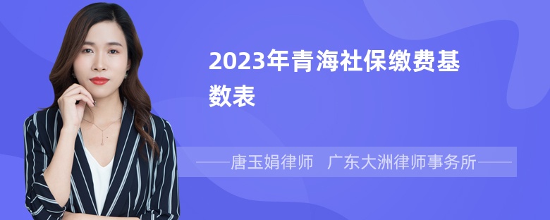 2023年青海社保缴费基数表