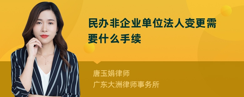 民办非企业单位法人变更需要什么手续