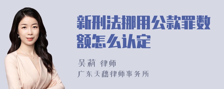 新刑法挪用公款罪数额怎么认定