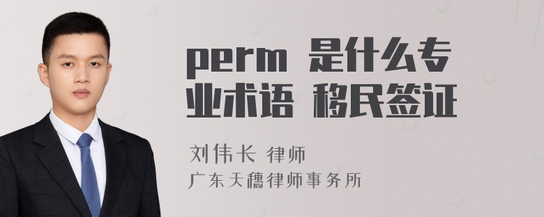 perm 是什么专业术语 移民签证