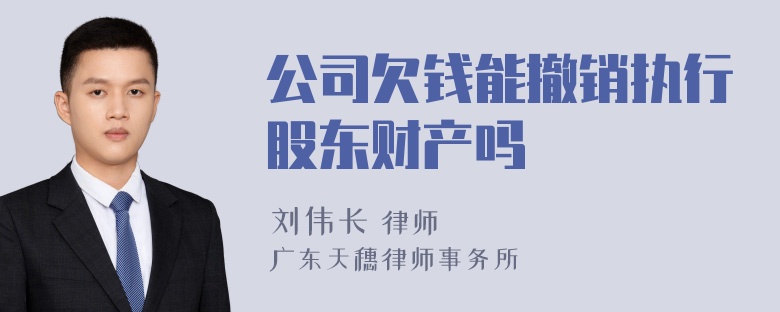 公司欠钱能撤销执行股东财产吗