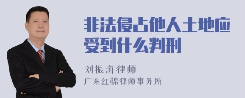 非法侵占他人土地应受到什么判刑