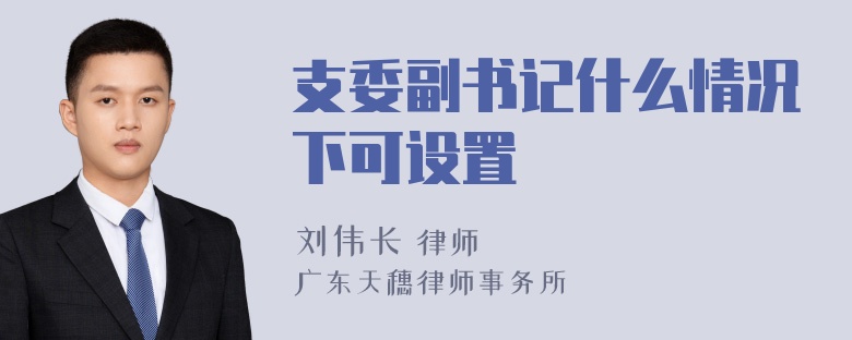 支委副书记什么情况下可设置