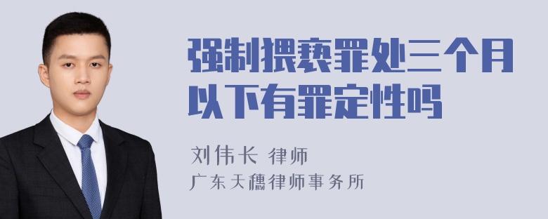 强制猥亵罪处三个月以下有罪定性吗