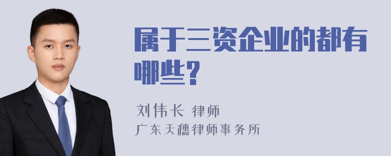 属于三资企业的都有哪些?