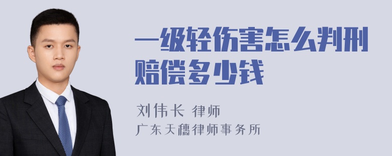 一级轻伤害怎么判刑赔偿多少钱