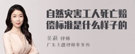 自然灾害工人死亡赔偿标准是什么样子的