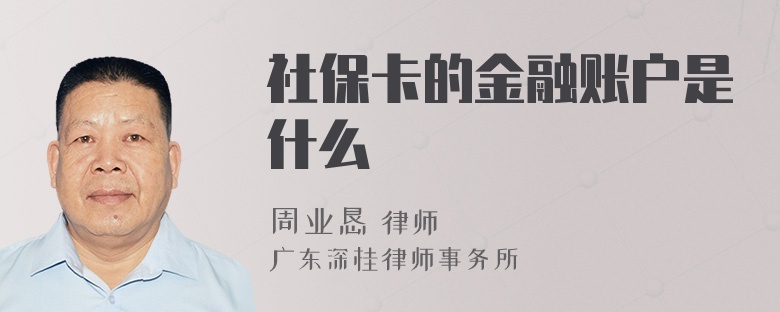 社保卡的金融账户是什么