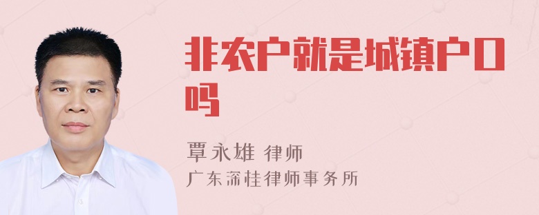 非农户就是城镇户口吗